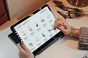 Line Sheet Template | Word/Photoshop, a Marketing Template by Axpand (Thumbnail 6 of 6)