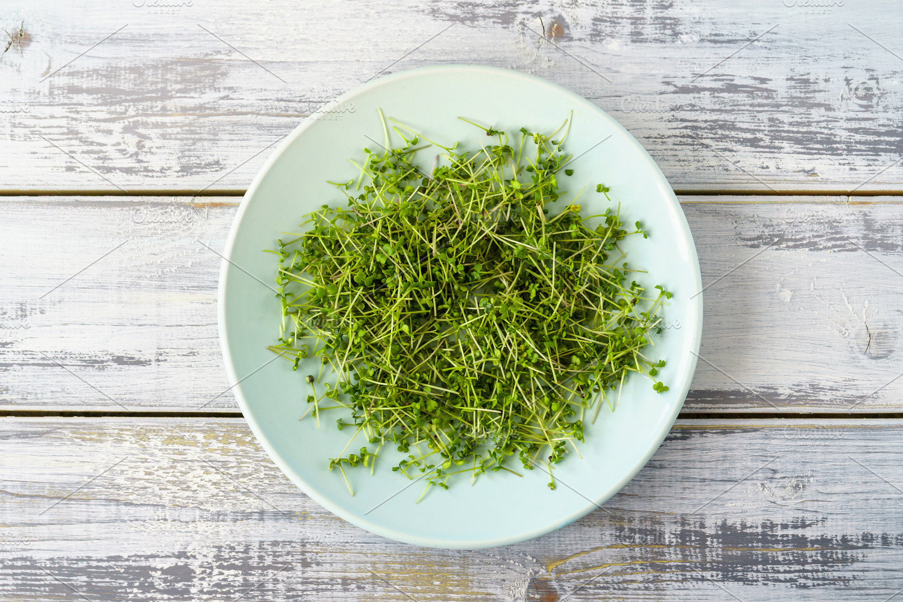 Fresh green broccoli microgreens on a white plate. Healthy sprout plant ingredi, a Food & Drink Photo by Eugene_Photo