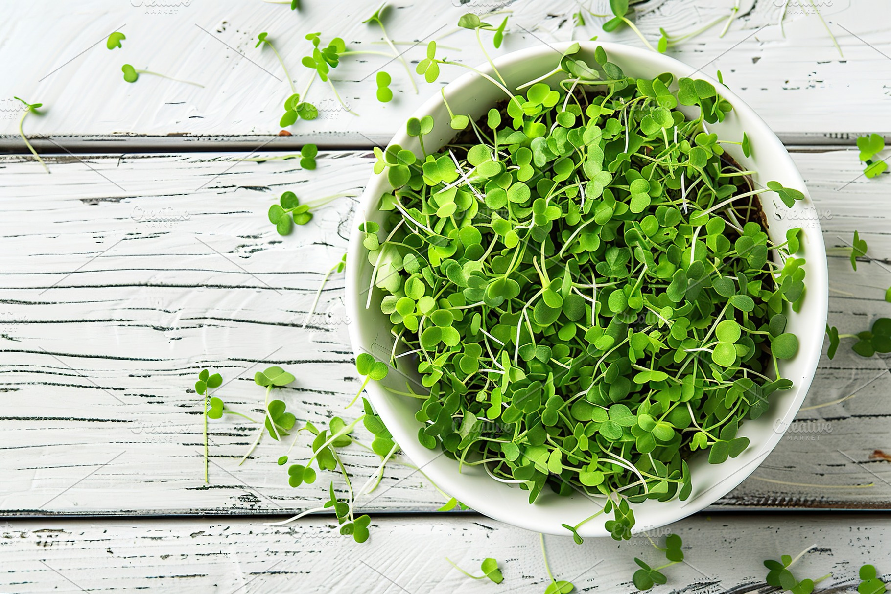 Fresh microgreen in plate on wooden table, a Food & Drink Photo by AlyaAnd