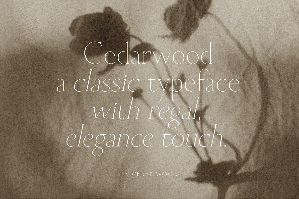 Cedarwood Font Free Downloadv - UIFreebies