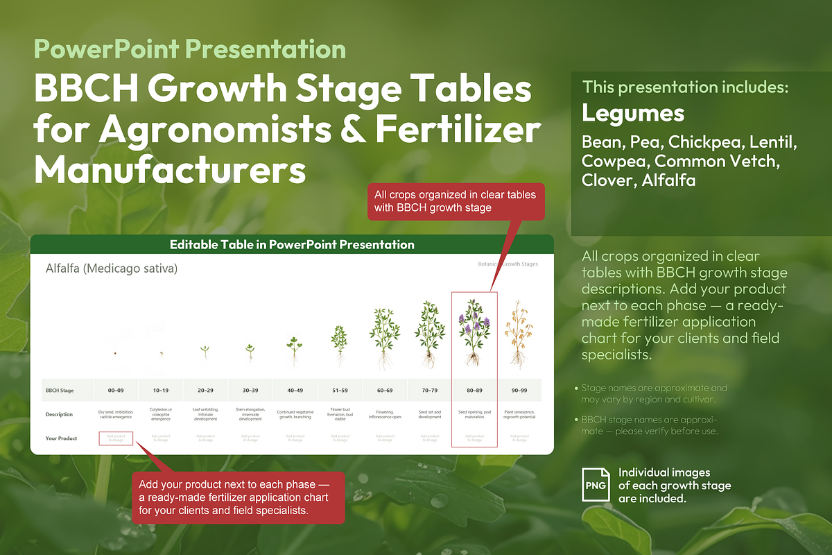 BBCH Growth Stages, Legume Crops, a Presentation Template by Ilia Design (Photo 1 of 9)