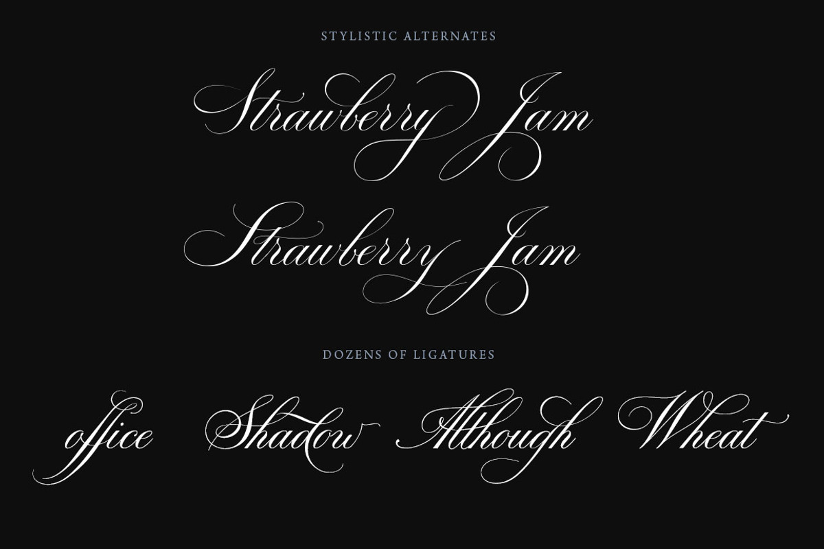 Bodega Script Elegant Wedding Font, a Script Font by vatesdesign (Photo 3 of 8)
