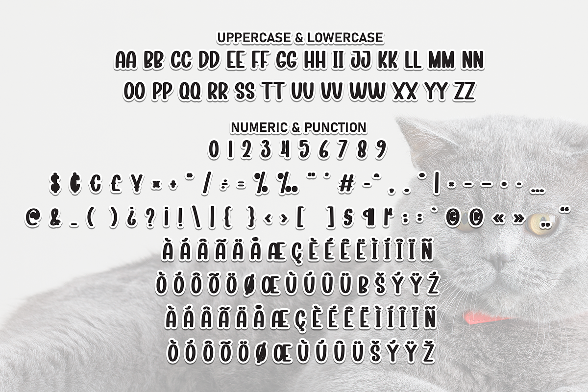 Cute Cat | Script Font, a Script Font by Scratchones (Photo 7 of 8)
