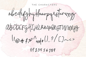 Serendipity Font - Chic Script