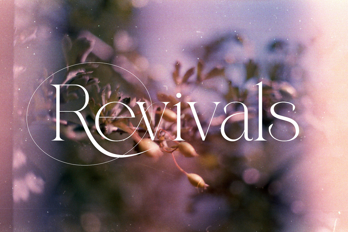 Qareky a Modern & Elegant Serif, a Serif Font by Lettertype Studio (Photo 20 of 20)