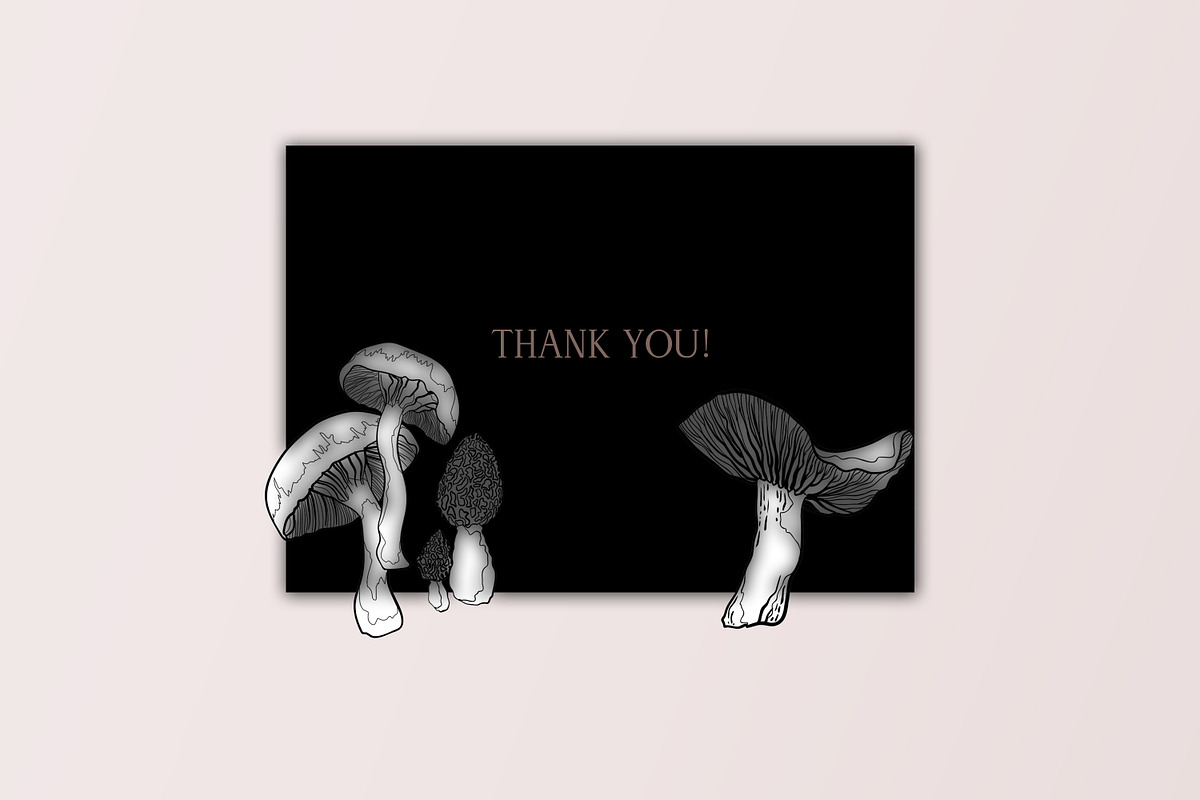 Mushrooms - vector clipart, a Decorative Illustration by Glass Cat Design (Photo 9 of 9)