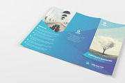 Tri Fold Brochure Mockup, a Print Template by zokidesign (Thumbnail 4 of 16)