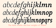 Youbee, a Serif Font by Ingrimayne Type (Thumbnail 8 of 12)