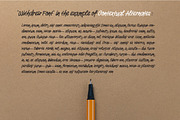 Withdrew - Modern Script Font, a Handwritten Font by Barkah (Thumbnail 8 of 15)