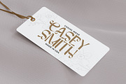 Agasiz - Modern Display Font, a Sans Serif Font by PutraCetol Studio (Thumbnail 9 of 11)