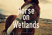 Cleudia Duo Font Sans Serif, a Sans Serif Font by Storytype Studio (Thumbnail 2 of 15)