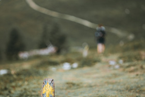 Camino de Santiago trail sign, a Person Photo by SkyNext