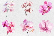 Watercolor Pink Orchid Clipart, a Seasonal Illustration by Rose Art (Thumbnail 2 of 6)