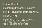 Elvora Modern Elegant Sans Font, a Sans Serif Font by PutraCetol Studio (Thumbnail 5 of 5)