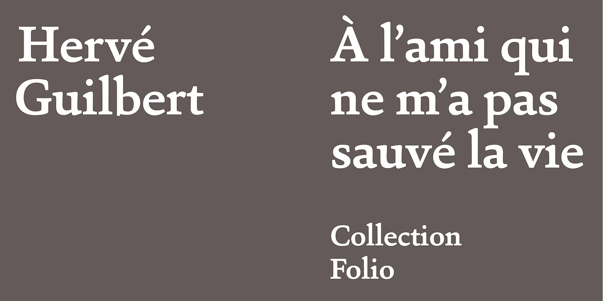 Sina, a Serif Font by Hoftype (Photo 10 of 15)