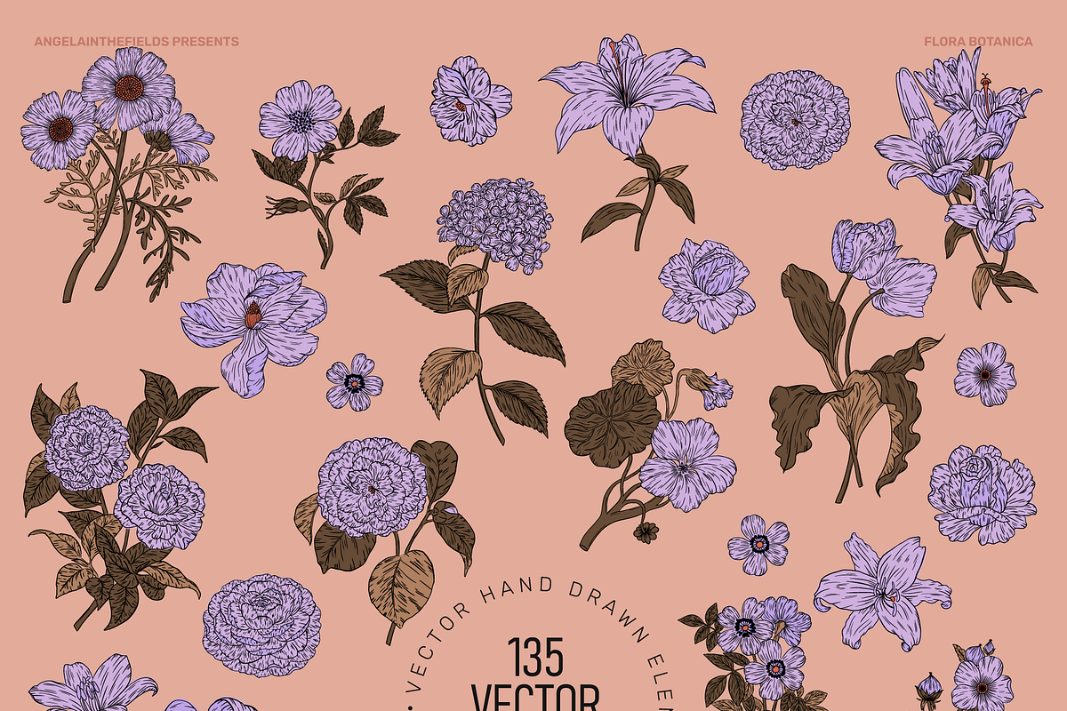 FLORA BOTANICA Vector Illustrations, an Object Graphic by angelainthefields (Photo 5 of 13)