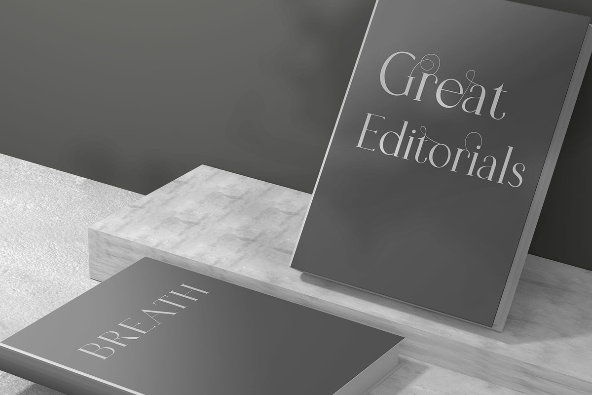 Tilaa Serif -Ligature Typeface, a Serif Font by Ryul Davidson (Photo 11 of 13)