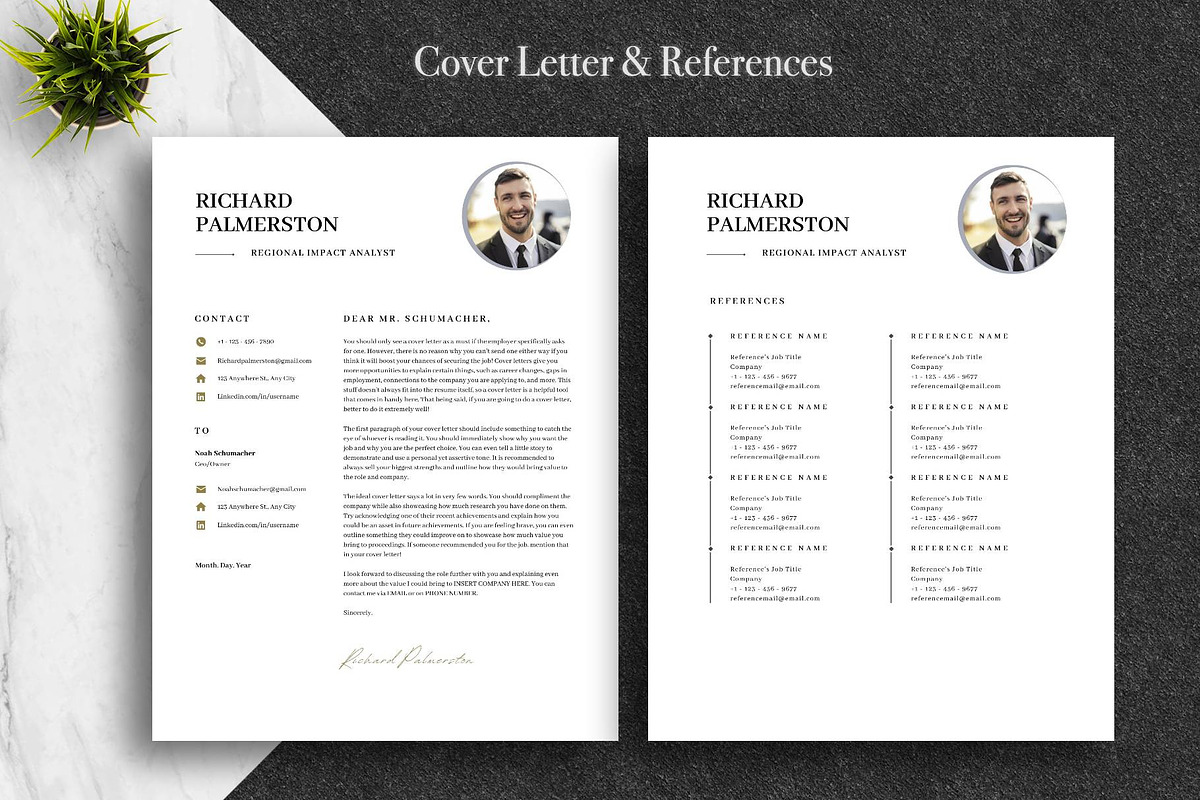 Executive CV Template Pack | Canva, a Resume Template by Lux Resume (Photo 4 of 9)