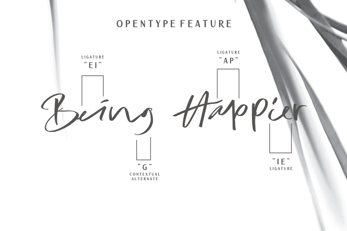 The Nicest Women // Font Duo preview 6