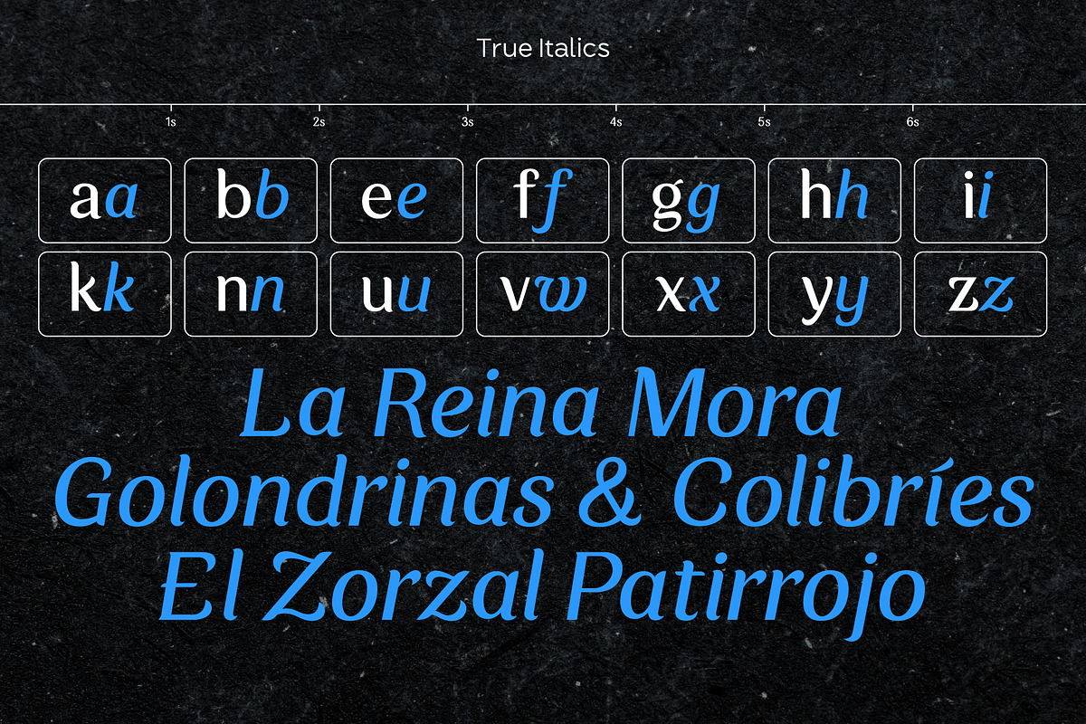 Zorzal | A serif-sans hybrid, a Serif Font by Pedroglifos (Photo 4 of 11)