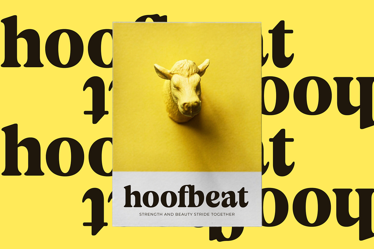 Volkgen Bold Modern Display Serif, a Serif Font by timelesstype.co (Photo 4 of 15)