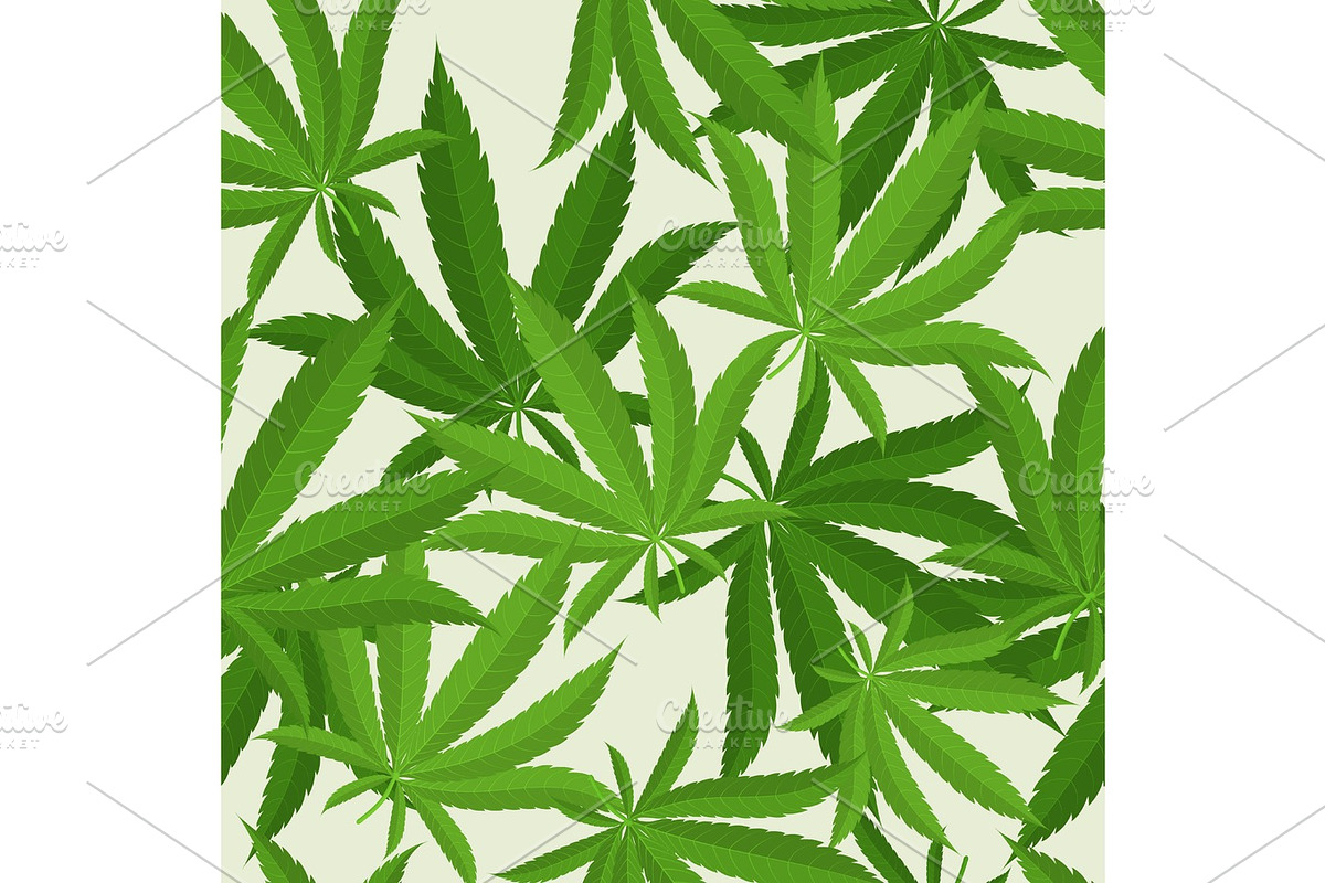 Seamless pattern with marijuana hemp leaves. Vector illustration., a Decorative Illustration by SHom