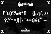 Norseman 2, a Serif Font by Alphabet Agency (Thumbnail 5 of 5)