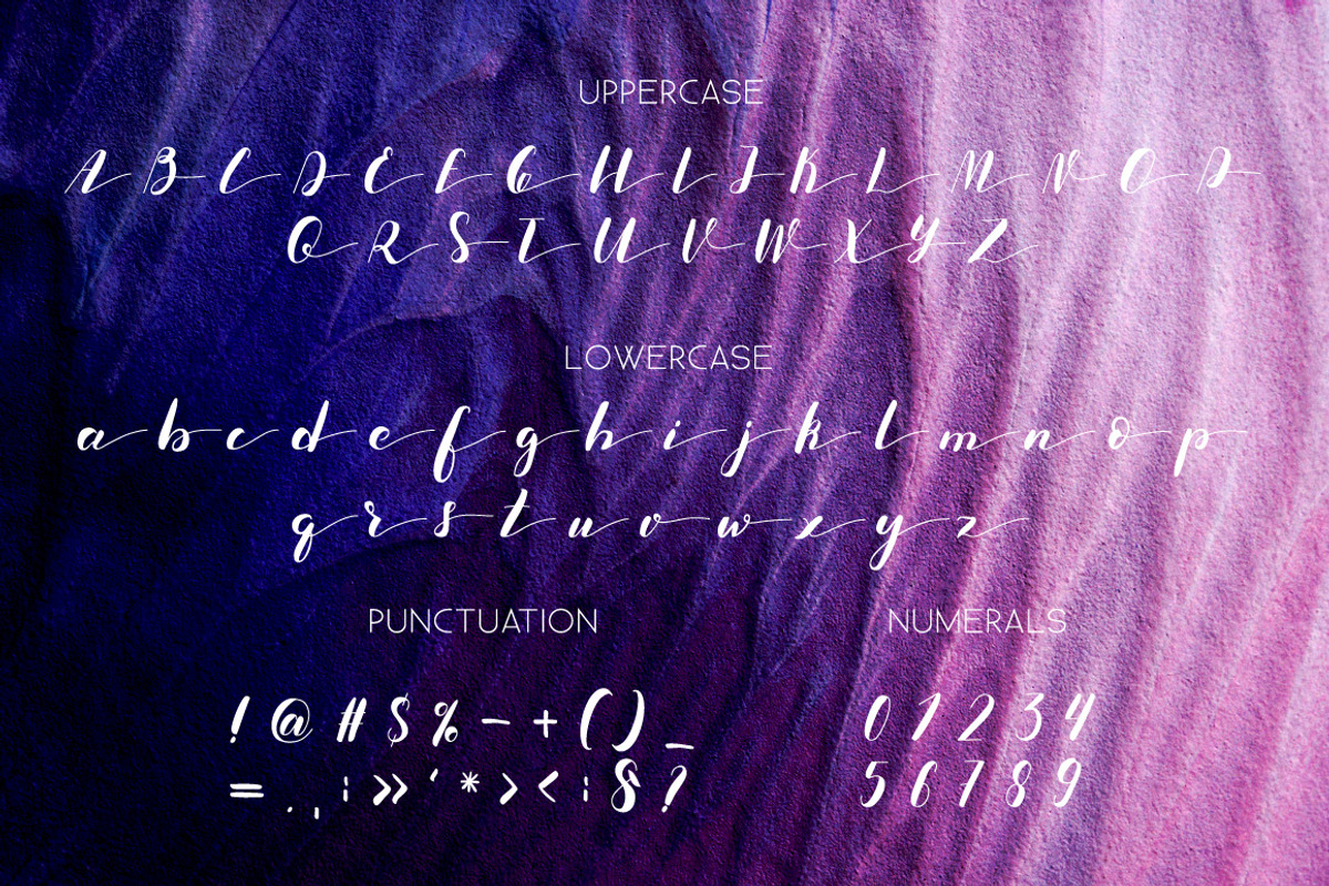 Sandrine Brush Font. Script. preview 3