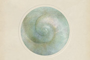 Sfumato Organic Textured Backgrounds, a Background Graphic by alonahaidash (Thumbnail 4 of 15)