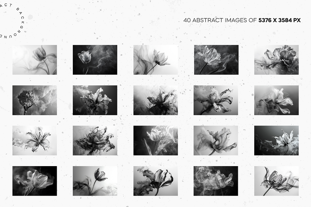 Smoke & Bloom Monochrome Elegance, a Nature Photo by Lumeno (Photo 2 of 4)