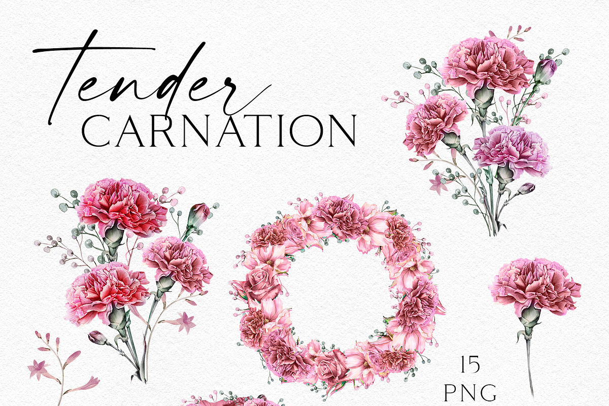 Red Carnation, an Illustration by Olga Koelsch (Photo 7 of 8)