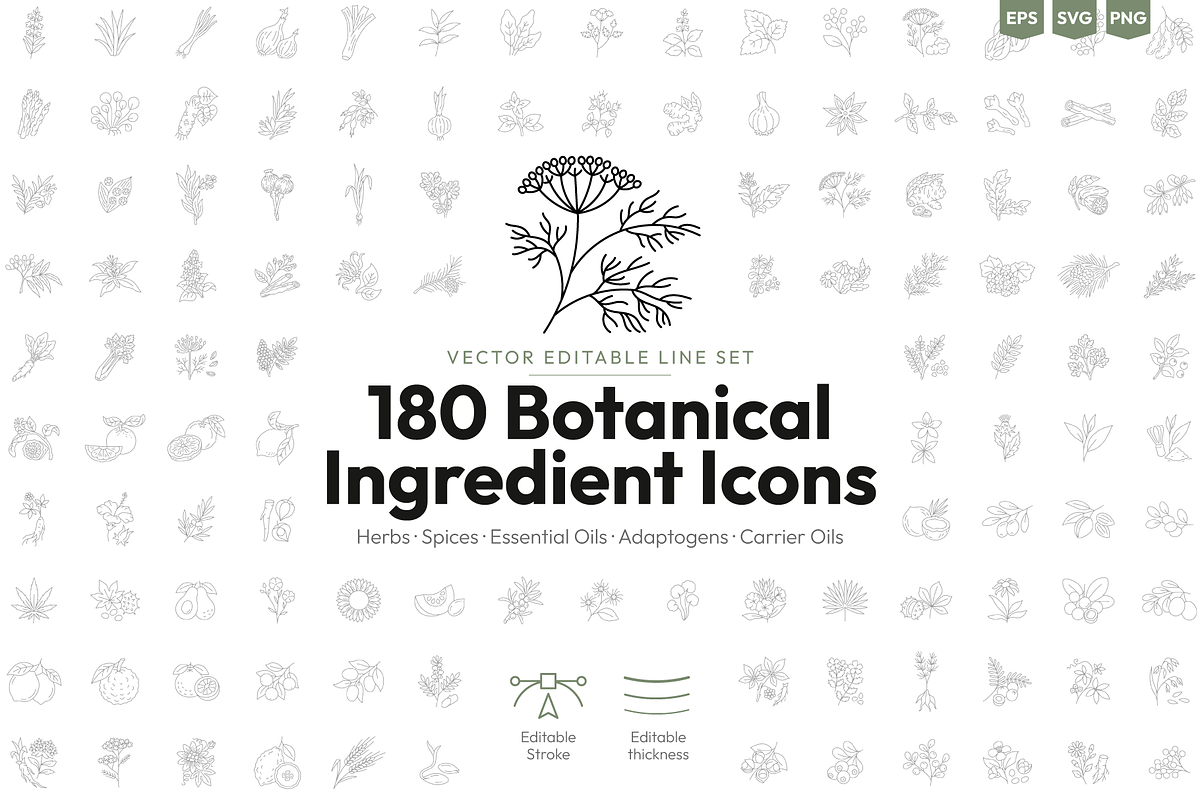 180 Botanical Ingredient Line Icons, an Outline Icon by Ilia Design (Photo 1 of 13)