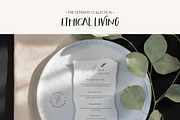 ETHICAL LIVING vegan & eco lifestyle, a Healthcare Illustration by Lana Elanor (Thumbnail 26 of 28)