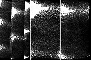 Rolled ink textures volume 01, a Texture Graphic by The Shop (Thumbnail 8 of 16)