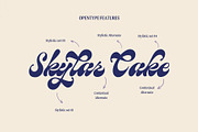 Birchside Script, a Script Font by Get Studio (Thumbnail 4 of 28)