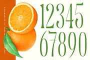 Quiselle Elegant Display Serif, a Serif Font by timelesstype.co (Thumbnail 14 of 20)