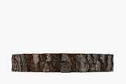 Wood Log Slice, an Environmental 3D Model by 3D_PikNik (Thumbnail 8 of 15)