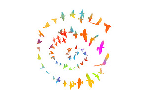 Colored birds flying in a circle in, an Animal Photo by Nenahliadava Design