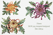 Watercolor flowers Chrysanthemum, a Decorative Illustration by Artcard Watercolor (Thumbnail 3 of 5)