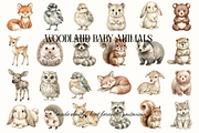 Woodland Baby Animals Illustrations, an Animal Illustration by youtoview (Thumbnail 4 of 15)