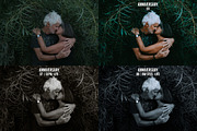 Anniversary - 50 Lightroom Presets, an Action Add-On by Presetrain Co. (Thumbnail 2 of 12)