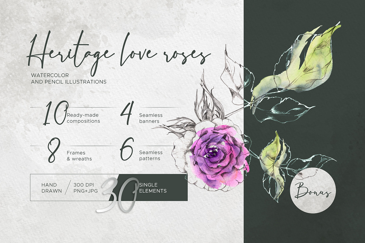 Heritage tea roses, a Decorative Illustration by MsFlaffy (Photo 1 of 14)