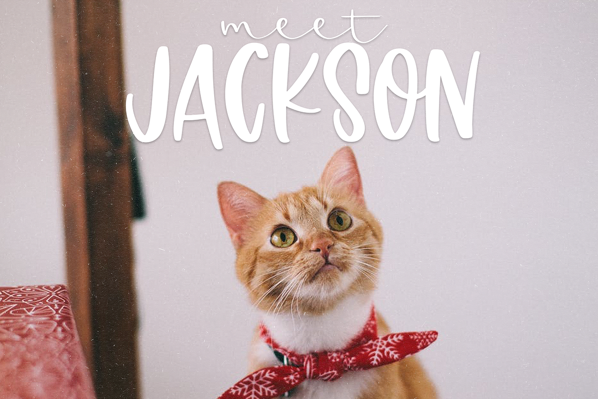 Sour Lemon | Quirky Handwritten Font preview 8