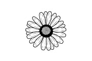 Daisy Flower Line Art Vector Bundle0, an Illustration by jahid234 (Thumbnail 5 of 51)