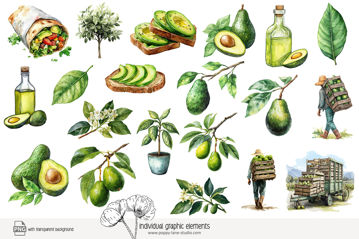 100 avocado clip art, a Food Illustration by Poppy Lane Studio (Photo 2 of 12)