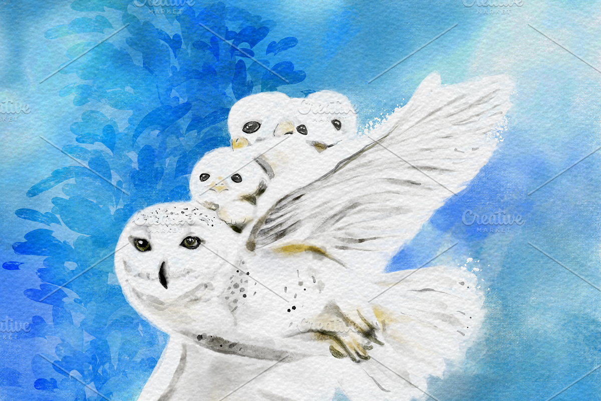Snowy owls, an Illustration by AMMi