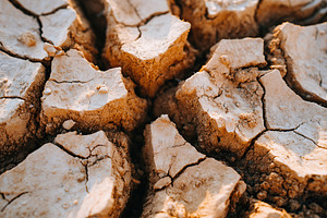 Cracked dry earth texture reveals nature's resilience and beauty, a Photo by AlyaAnd