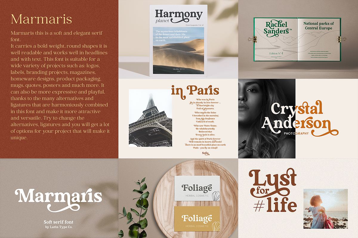 Elegant Serif Bundle, a Serif Font by Larin Type Co. (Photo 14 of 18)