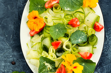 Vegetable salad with nasturtium, a Food & Drink Photo by MLunov MLunov