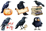 Watercolor Raven Clipart, an Illustration by Designworld (Thumbnail 4 of 5)